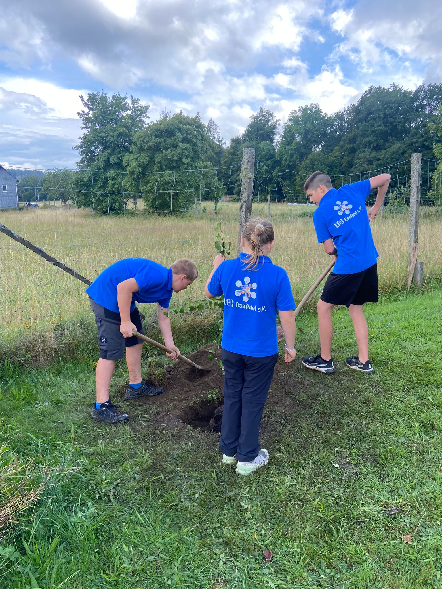 Baumchallenge2025